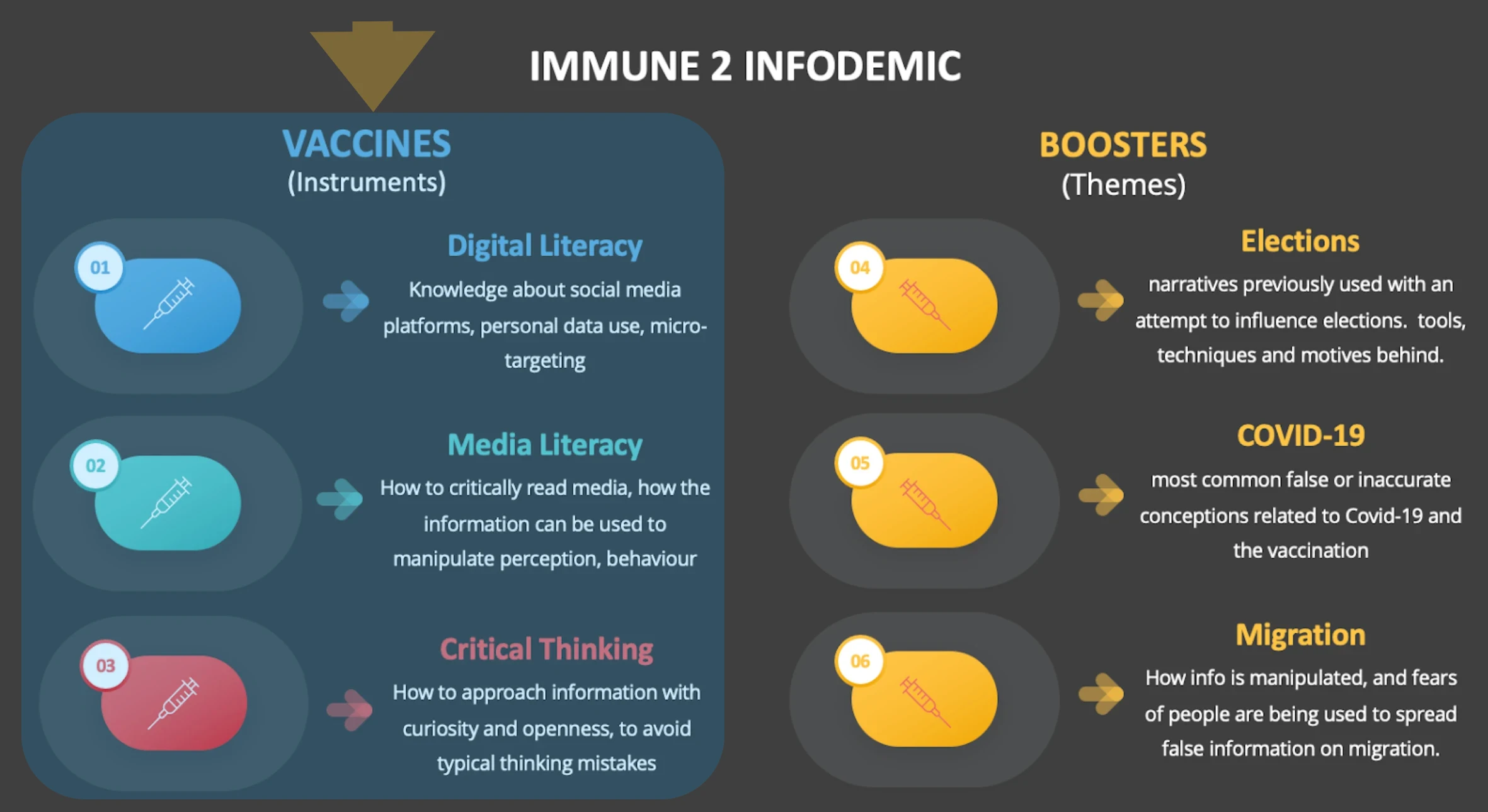 Instruments (VACCINES) INFOGRAPHIC I2I PROJECT